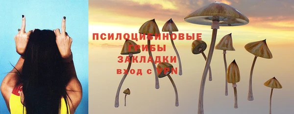 трава Волоколамск