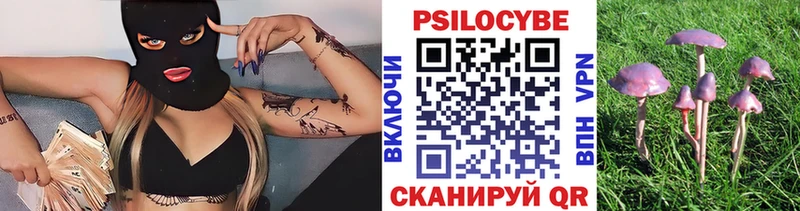 где купить наркоту  Оха  Галлюциногенные грибы мухоморы 